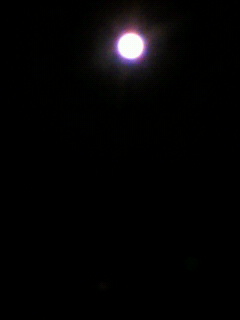 d0004447_8253374.jpg
