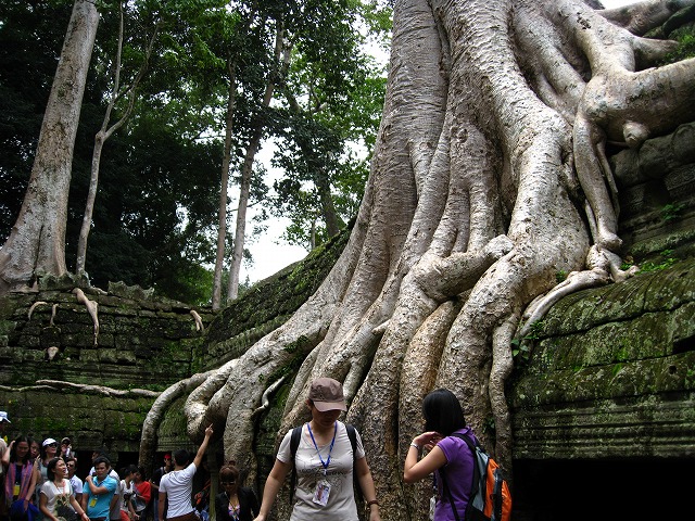 d0048350_20464294.jpg