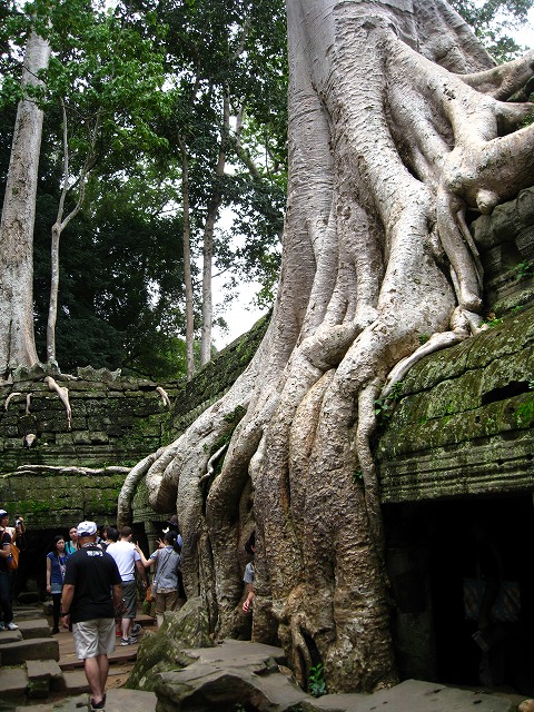 d0048350_22185137.jpg
