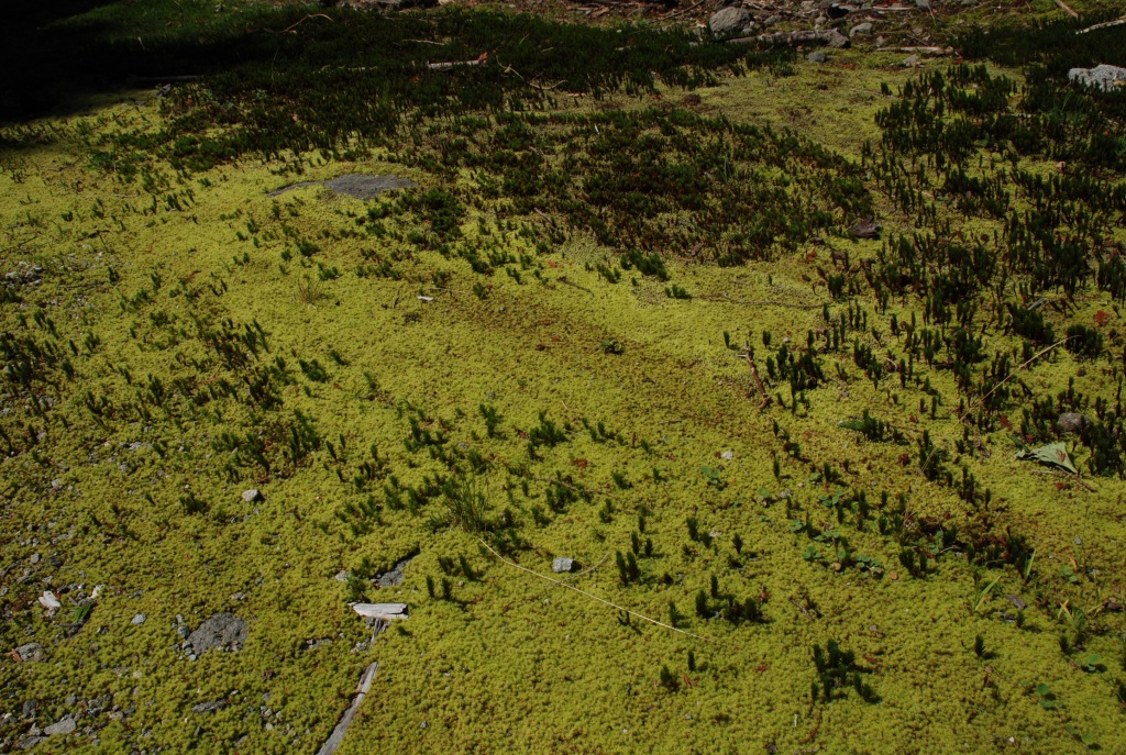 f0043750_21495790.jpg