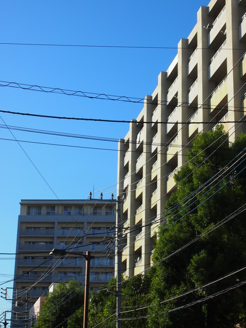 b0268454_1545383.jpg