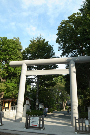 e0122156_7425399.jpg