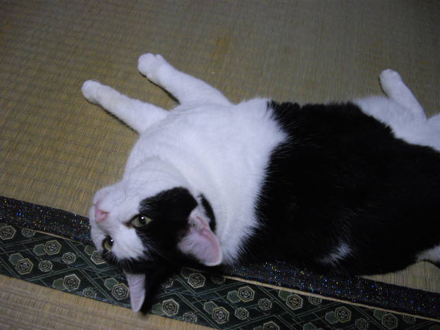 d0116059_21709.jpg