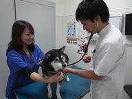 健康診断のお知らせ_d0129766_98641.jpg