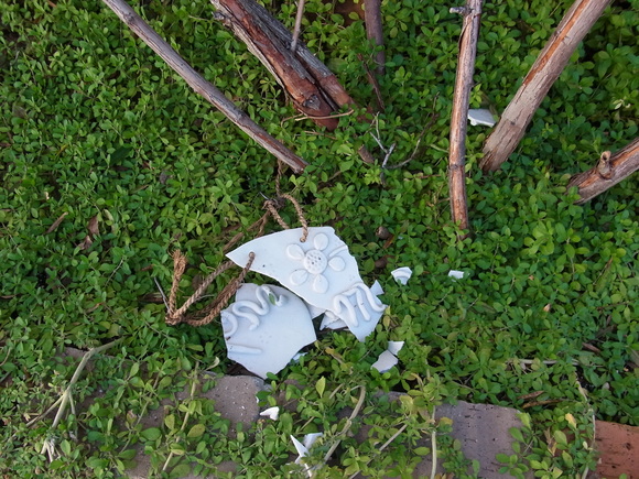 b0194267_20231554.jpg