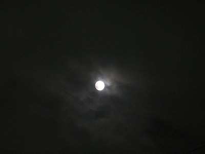 e0106372_8402049.jpg