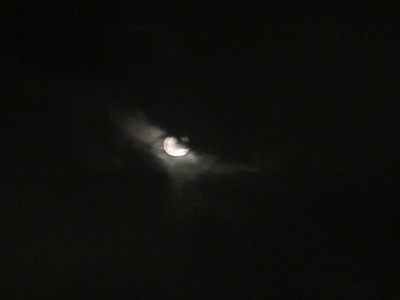 e0106372_8402757.jpg