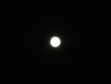 b0134673_21403881.jpg