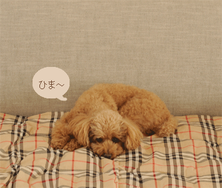 c0196673_833710.gif