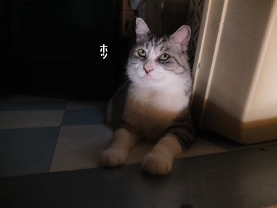 a0180681_1591248.jpg
