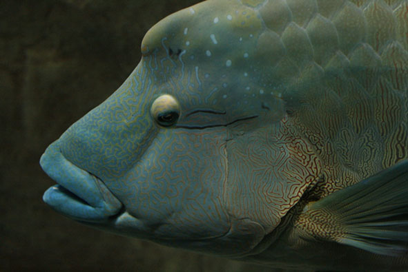 f0046982_2461670.jpg