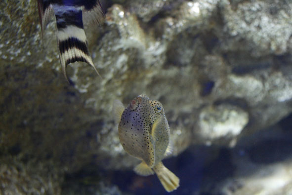 f0046982_2481747.jpg