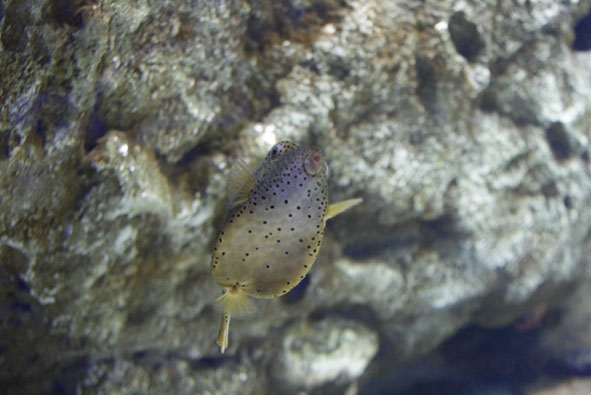 f0046982_2483999.jpg