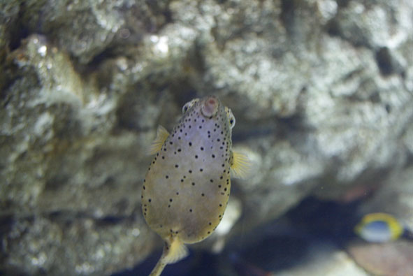 f0046982_249086.jpg
