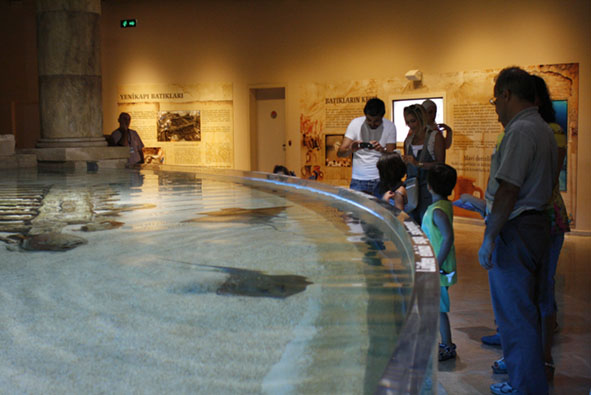 f0046982_2532341.jpg