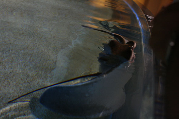 f0046982_2535953.jpg