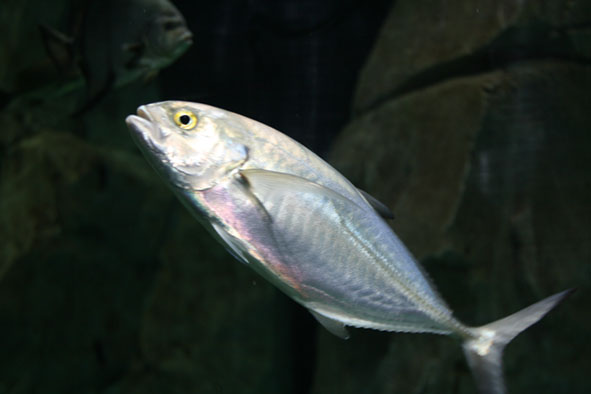 f0046982_2552621.jpg