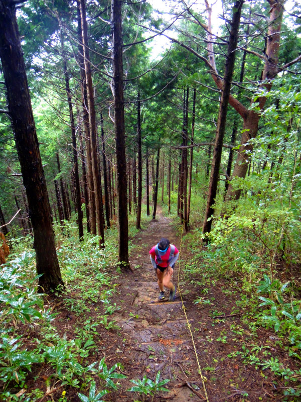 2012/09/25-26 富栄山&大空山トレイルランニング_b0220886_21332844.jpg