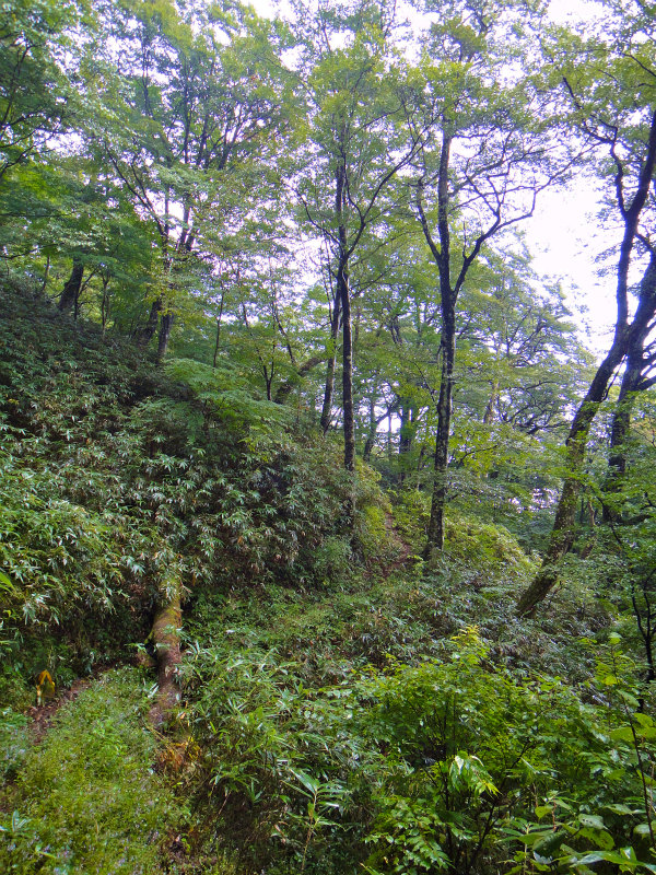 2012/09/25-26 富栄山&大空山トレイルランニング_b0220886_213518.jpg