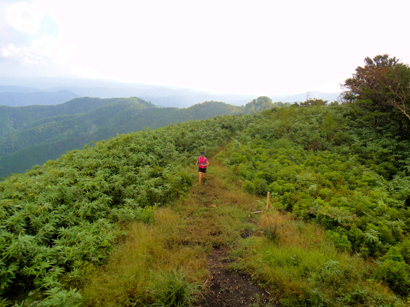 2012/09/25-26 富栄山&大空山トレイルランニング_b0220886_2143454.jpg
