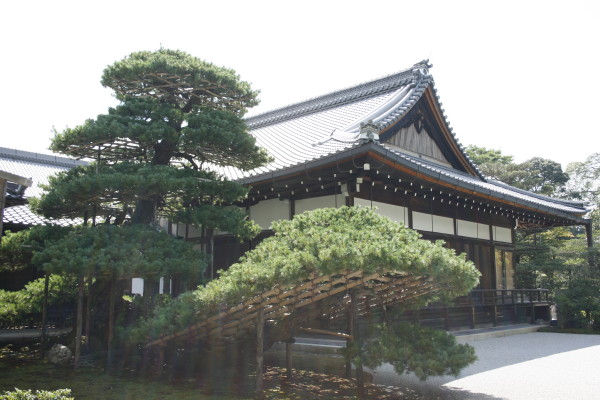 金閣寺（鹿苑寺）　on　2012-9-5＆2012-5-29_b0118987_6105350.jpg