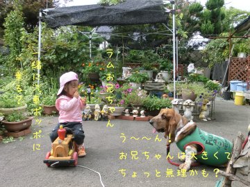 f0205887_1823546.jpg