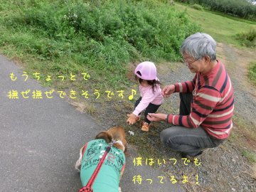 f0205887_18284470.jpg