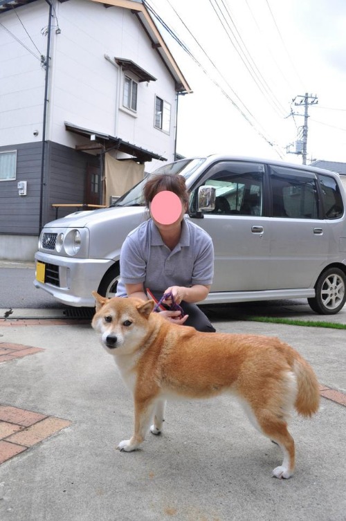 かぼすちゃんのお出かけ_a0126590_2256571.jpg