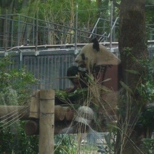 上野動物園へ_f0165392_1465889.jpg