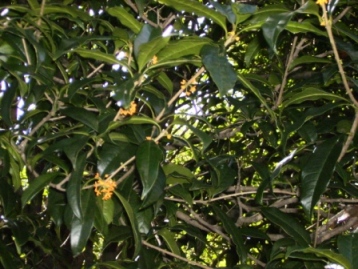 e0280693_15192283.jpg
