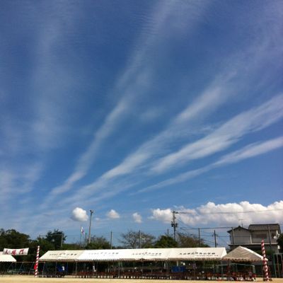 d0178895_21351645.jpg
