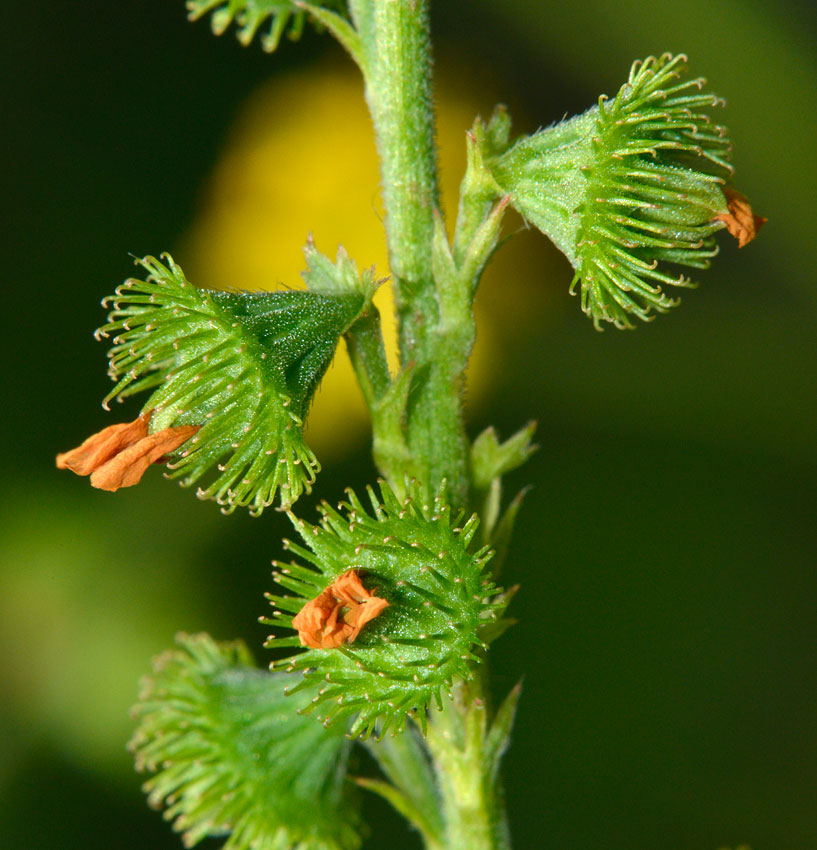 d0163696_18908.jpg