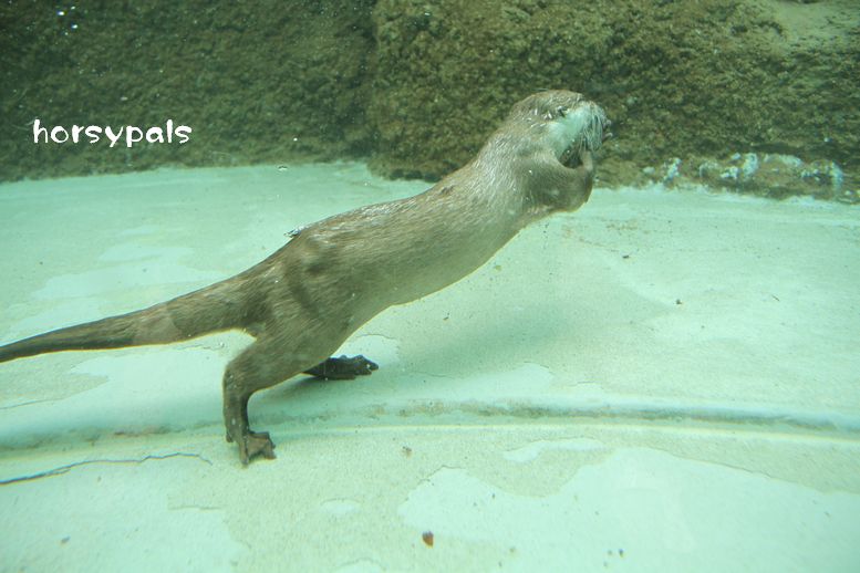 f0158697_2203816.jpg