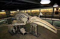 a0293798_4383350.jpg