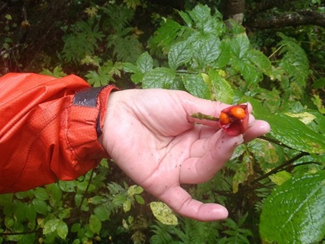 c0147398_0503680.jpg