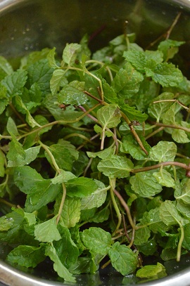 a0154304_9272616.jpg