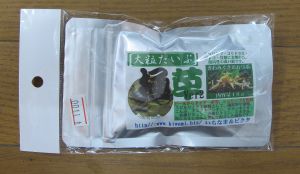 我儘で困ったお客様VS天使みたいな店長 (副題 様々な60cmオールガラス水槽)_a0193105_1323782.jpg