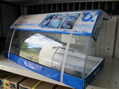 我儘で困ったお客様VS天使みたいな店長 (副題 様々な60cmオールガラス水槽)_a0193105_13243981.jpg