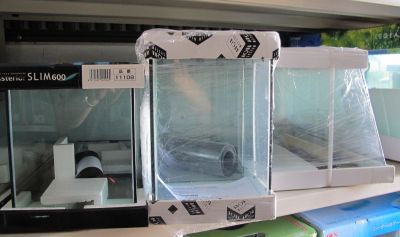 我儘で困ったお客様VS天使みたいな店長 (副題 様々な60cmオールガラス水槽)_a0193105_14492611.jpg