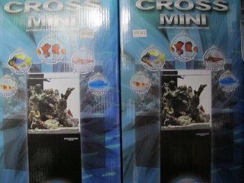 ニッソー クロスミニ その2 : アクア工房いちなまの店長ブログ