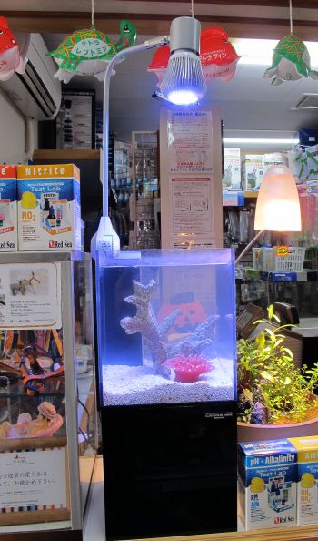 ニッソー クロスミニ その2 : アクア工房いちなまの店長ブログ