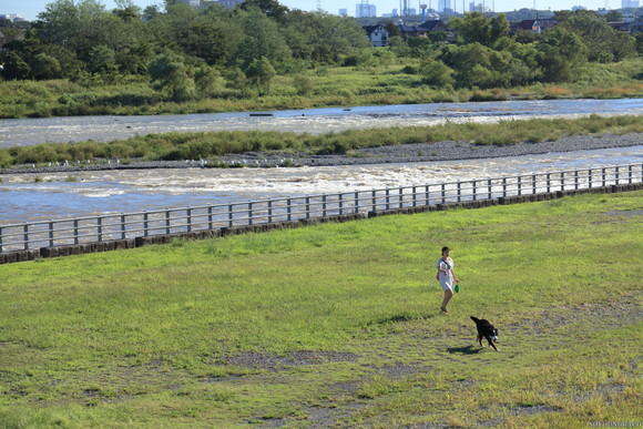 e0262305_05544.jpg