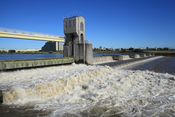 e0262305_05737.jpg