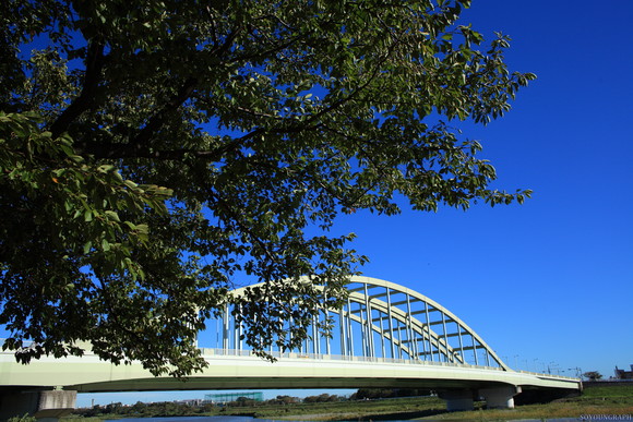 e0262305_0582912.jpg