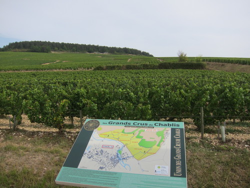 d0165309_4371527.jpg