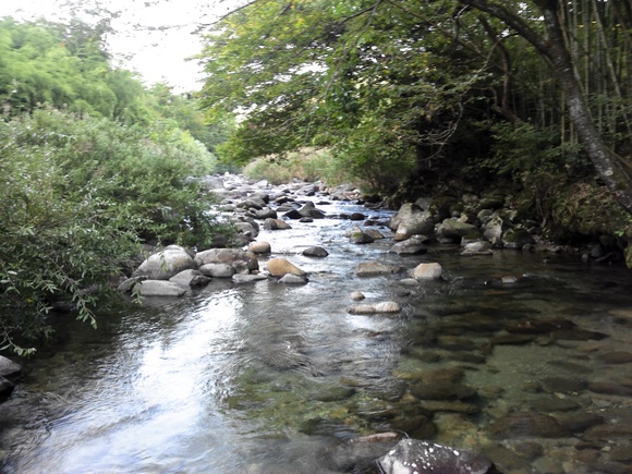 d0241509_21531489.jpg