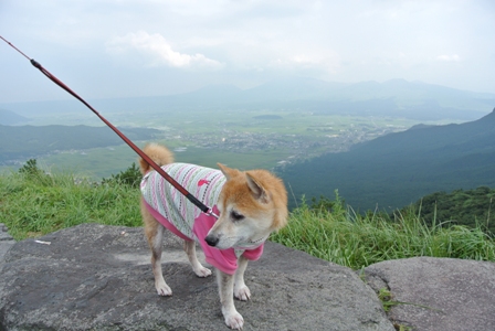 f0004309_2263348.jpg