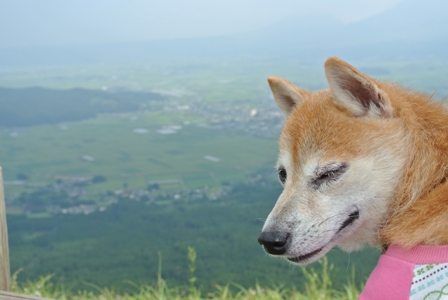 夏休みの里帰り_f0004309_229243.jpg