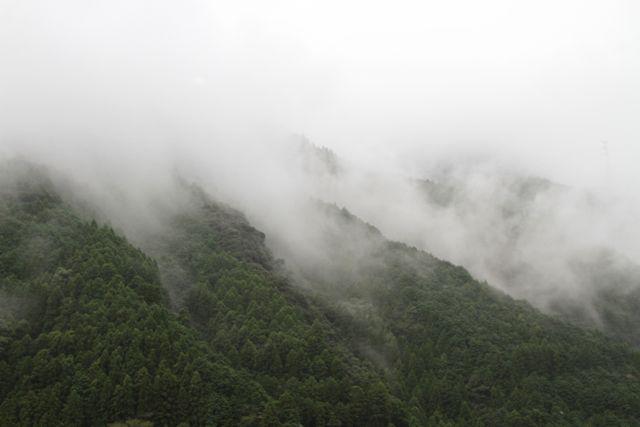 f0198909_21362045.jpg