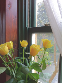 b0081010_1551036.jpg